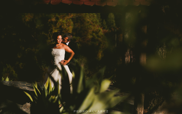 Fotógrafos de bodas Canarias