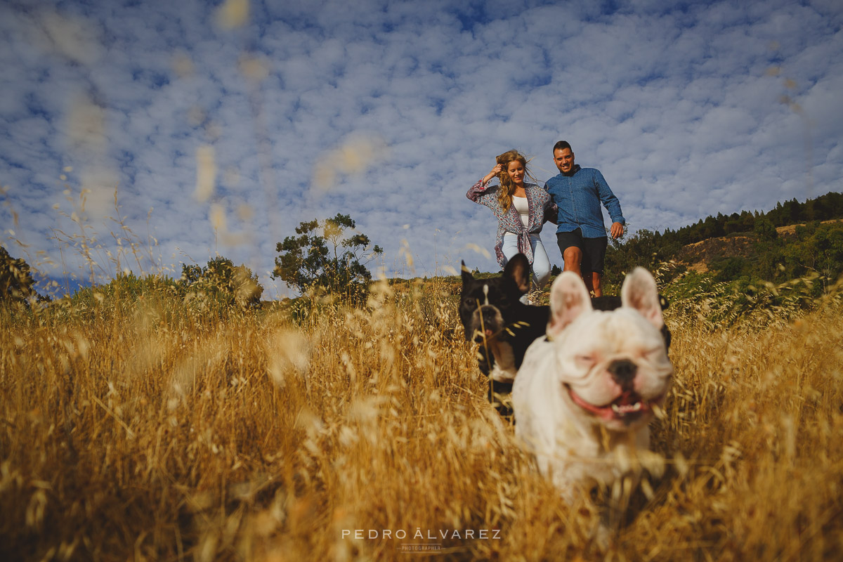 Fotografos de mascotas en Canarias