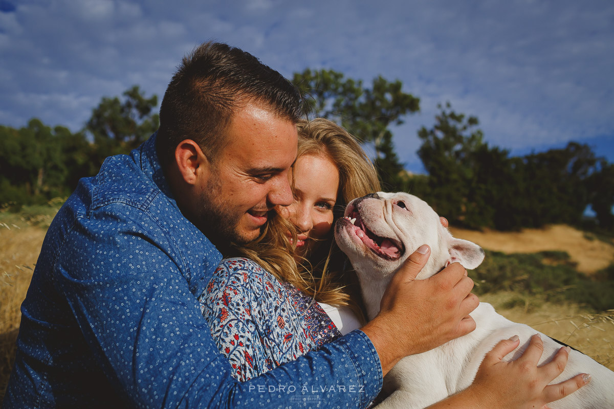 Fotografos de mascotas en Canarias