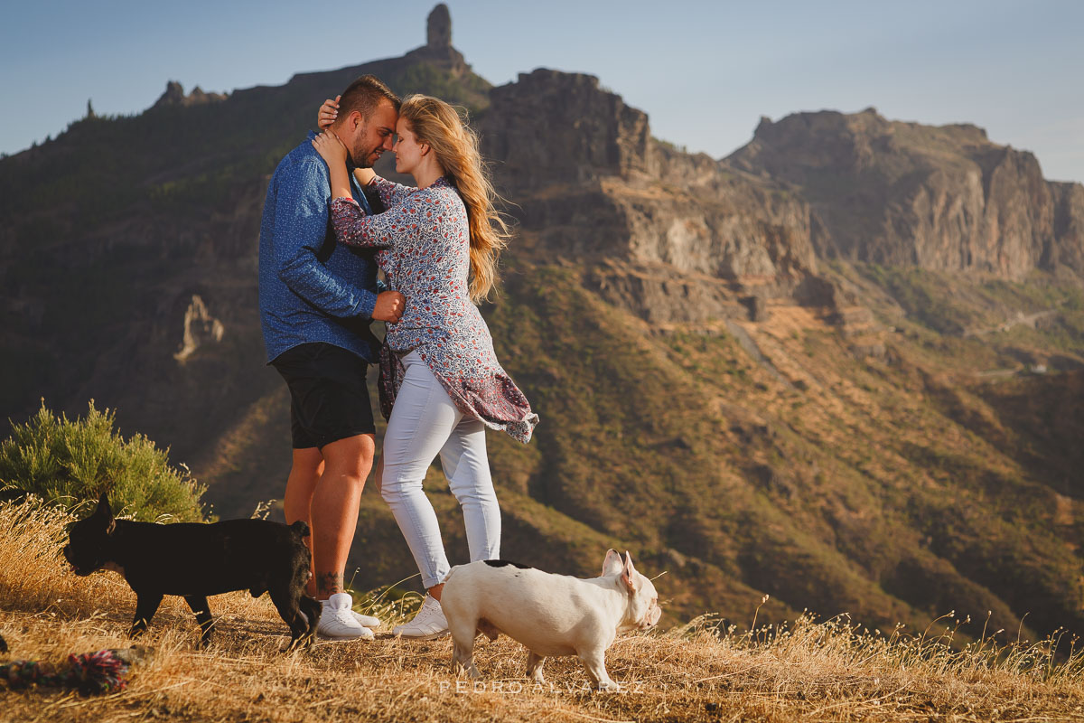 Fotos de pre boda y mascotas en Las Palmas de Gran Canaria