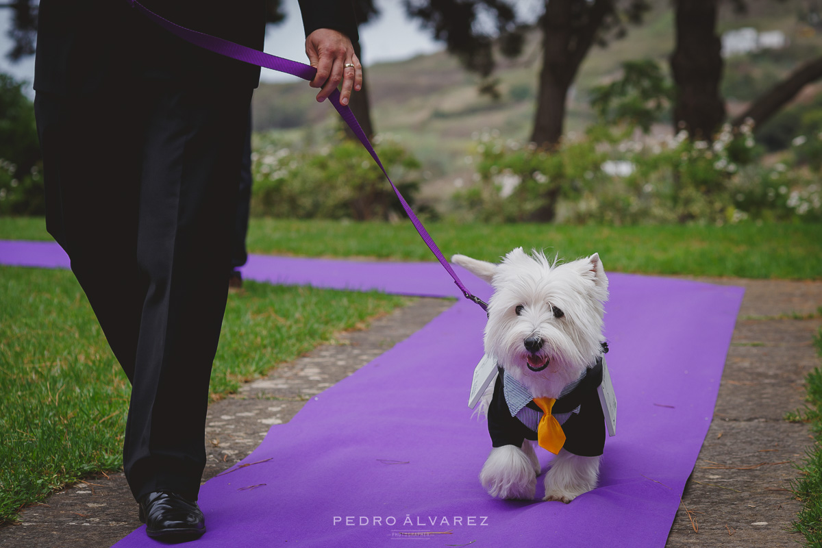 Ceremonia civil en la Finca Los Pinos Las Palmas de Gran Canaria 