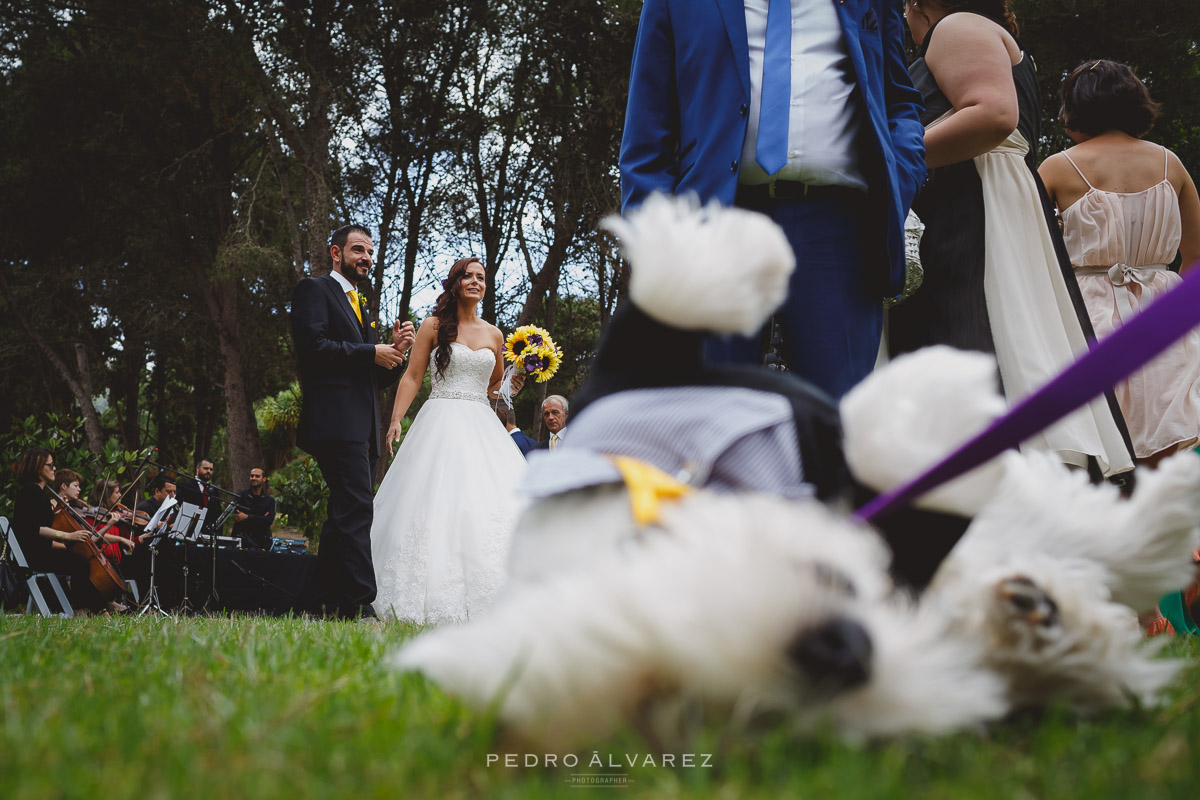 Fotos de boda en la Finca Los Pinos Las Palmas de Gran Canaria 