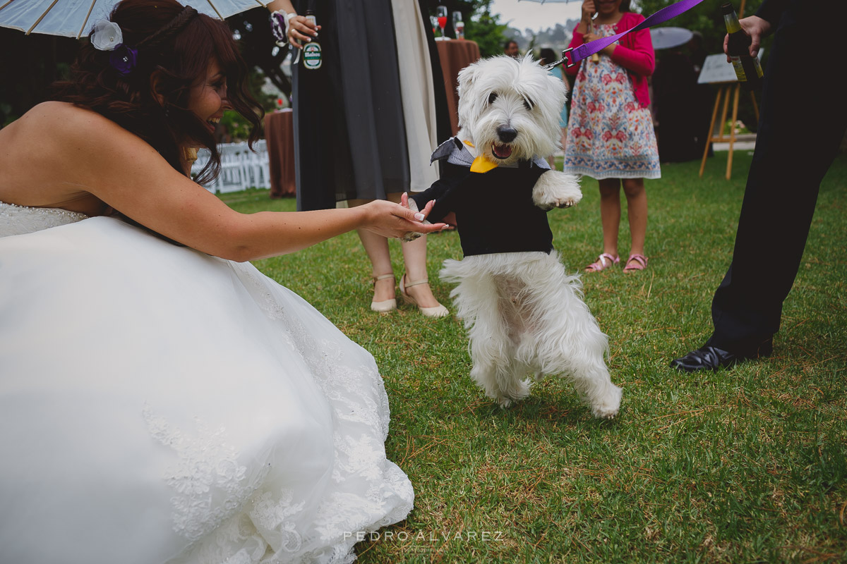 Fotos de boda en la Finca Los Pinos Las Palmas de Gran Canaria 