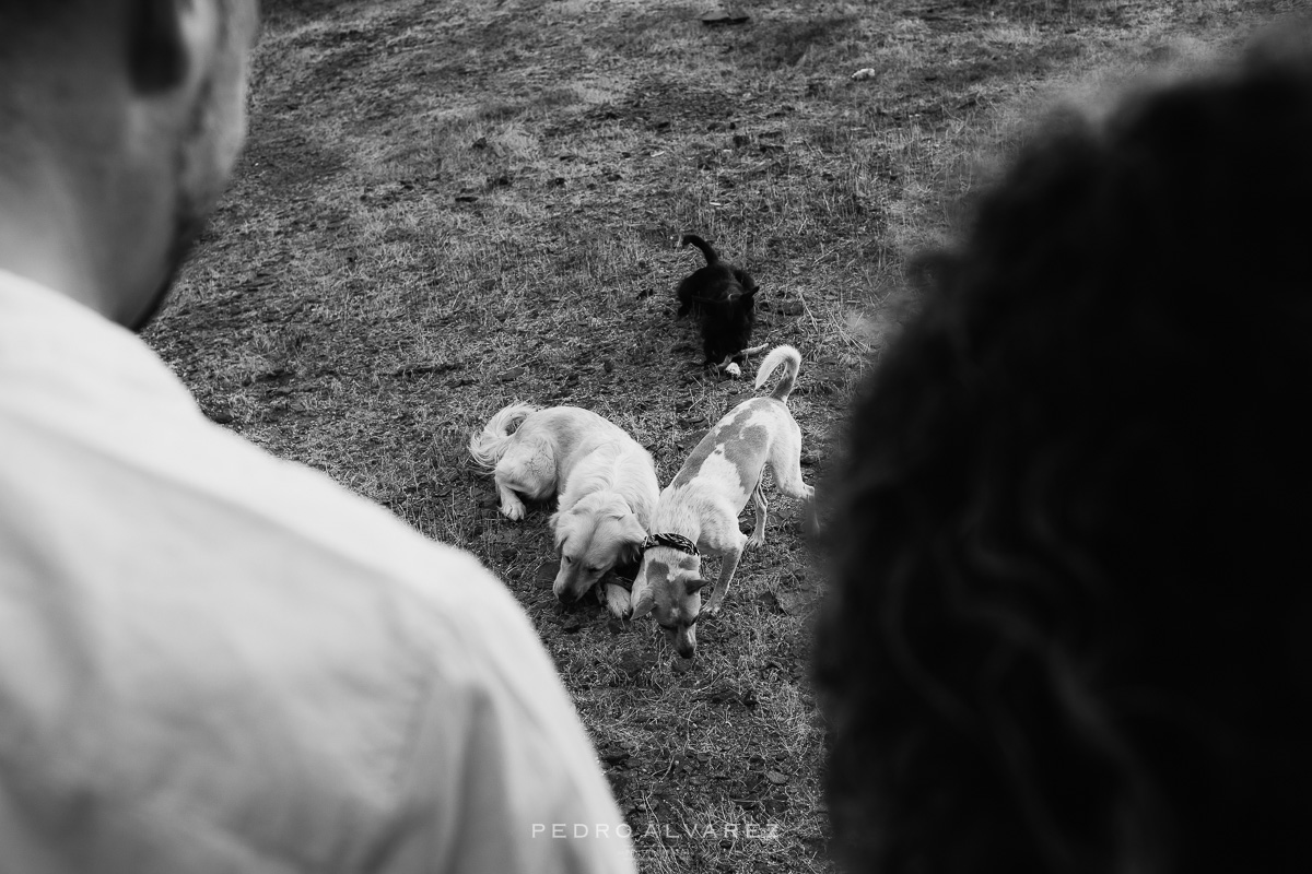 Fotos de pareja y mascotas en Las Palmas de Gran Canaria