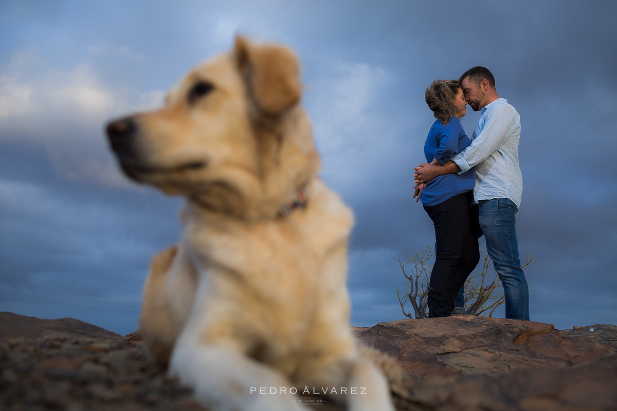 Fotos de pareja y mascotas en Las Palmas de Gran Canaria