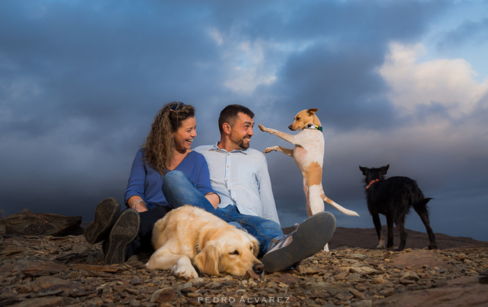Fotos de pareja y mascotas en Las Palmas de Gran Canaria
