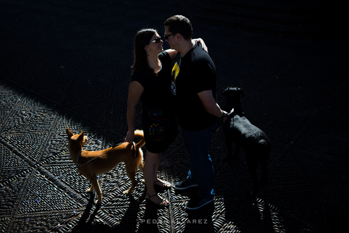 Fotógrafos de mascotas en Tenerife y La Palma