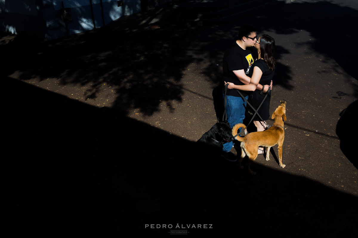 Fotógrafos de mascotas en Tenerife y La Palma