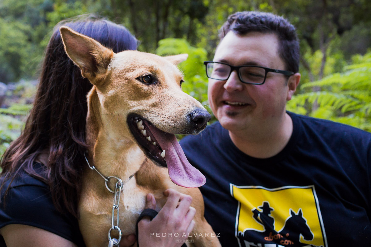 Fotógrafos de mascotas en Tenerife y La Palma