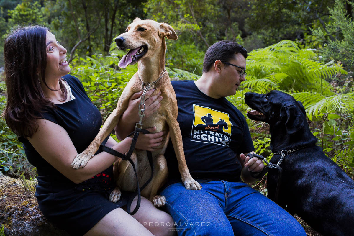 Fotógrafos de mascotas en Tenerife y La Palma