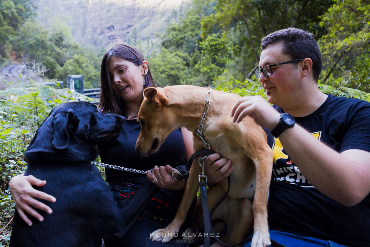 Fotógrafos de mascotas en Tenerife y La Palma