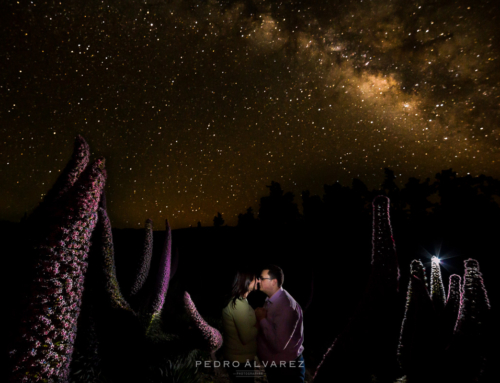 Fotos de pre boda y mascotas en La Palma