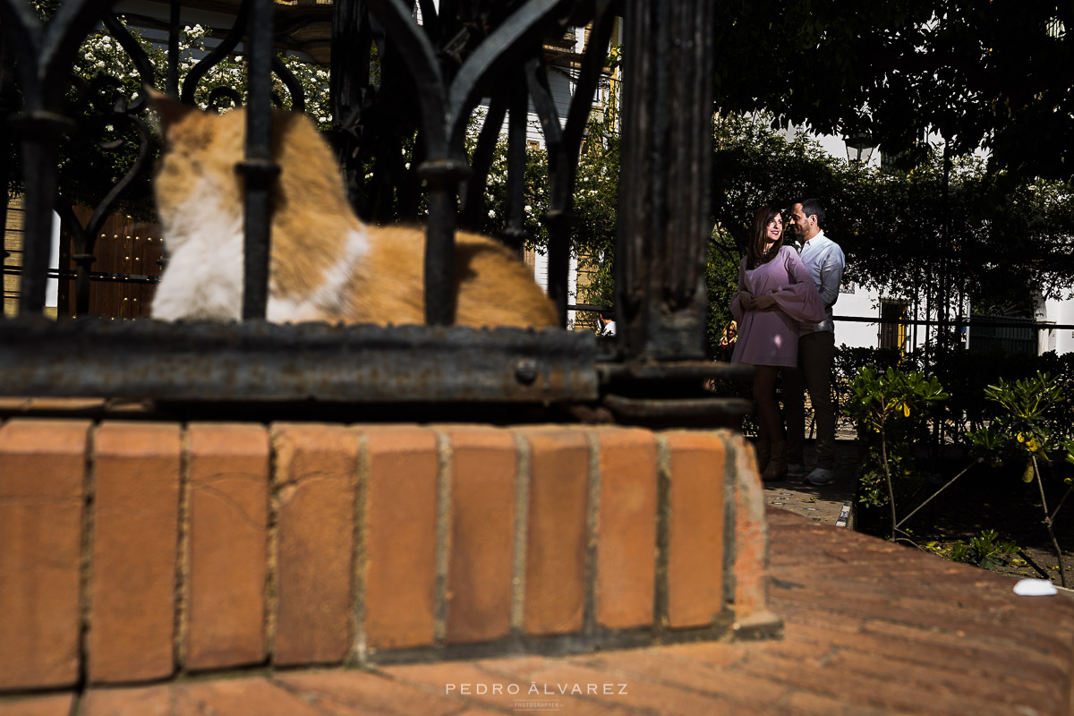 Fotógrafos de boda en Sevilla