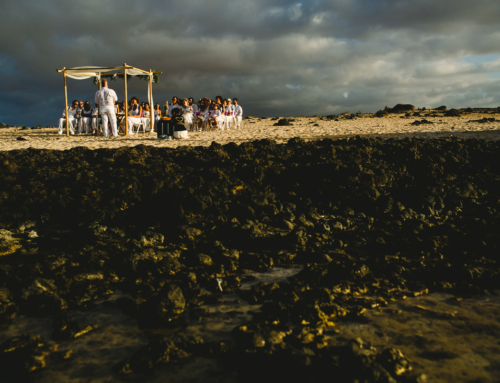 Fotos de Boda en la playa Fuerteventura Esther y Alexander