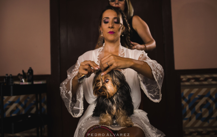 Boda en la Finca Yanes
