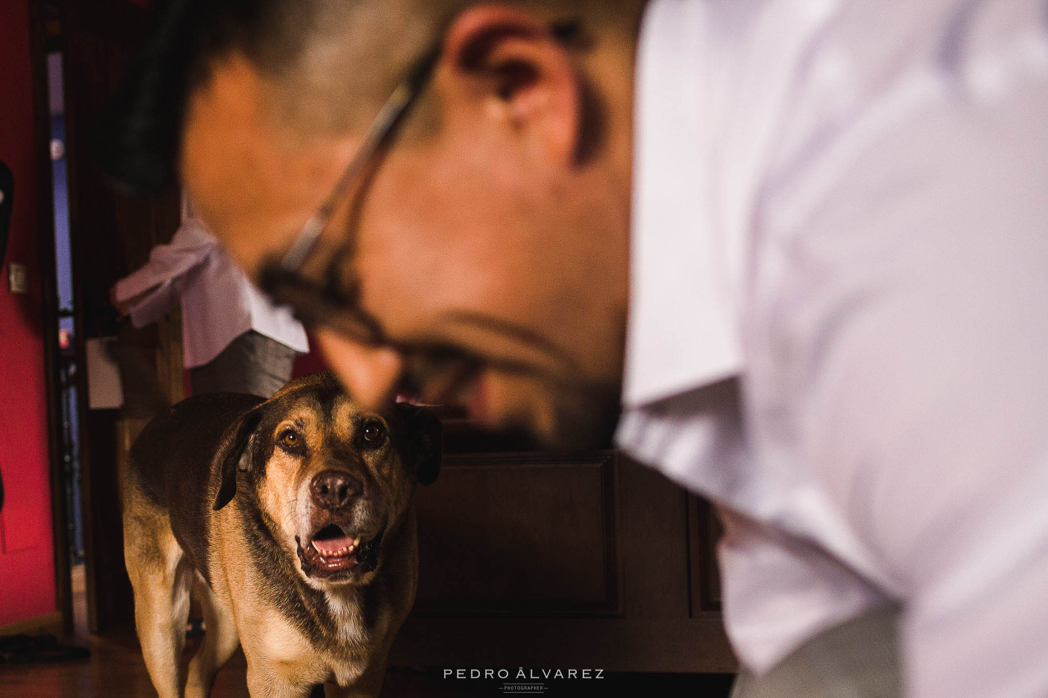 Fotógrafos de boda en La Casona de Las Fraguas