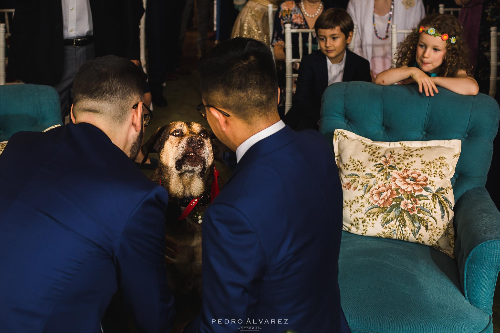Fotógrafos de boda en La Casona de Las Fraguas