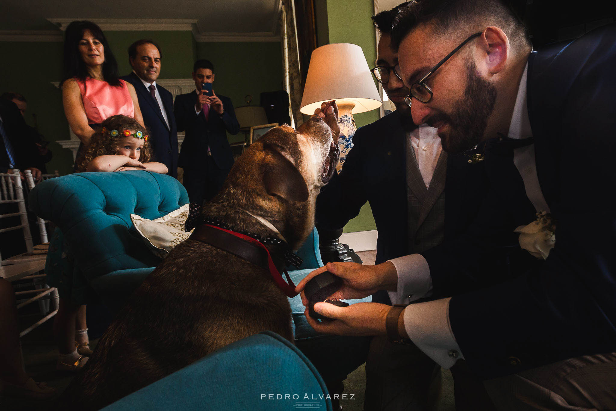 Fotógrafos de boda en La Casona de Las Fraguas