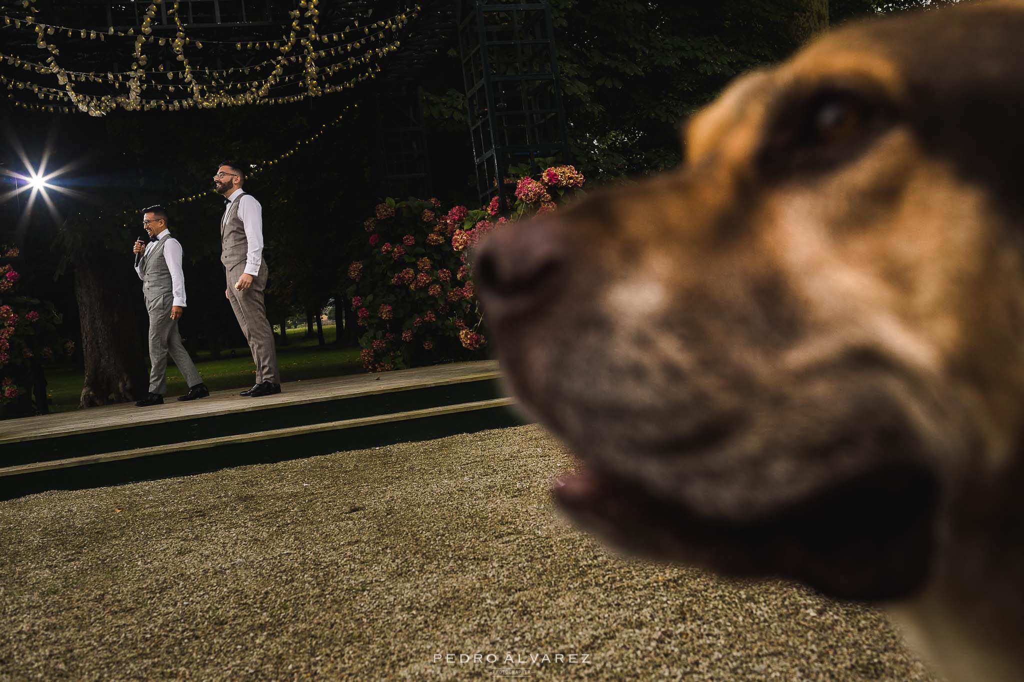 Fotógrafos de boda en La Casona de Las Fraguas