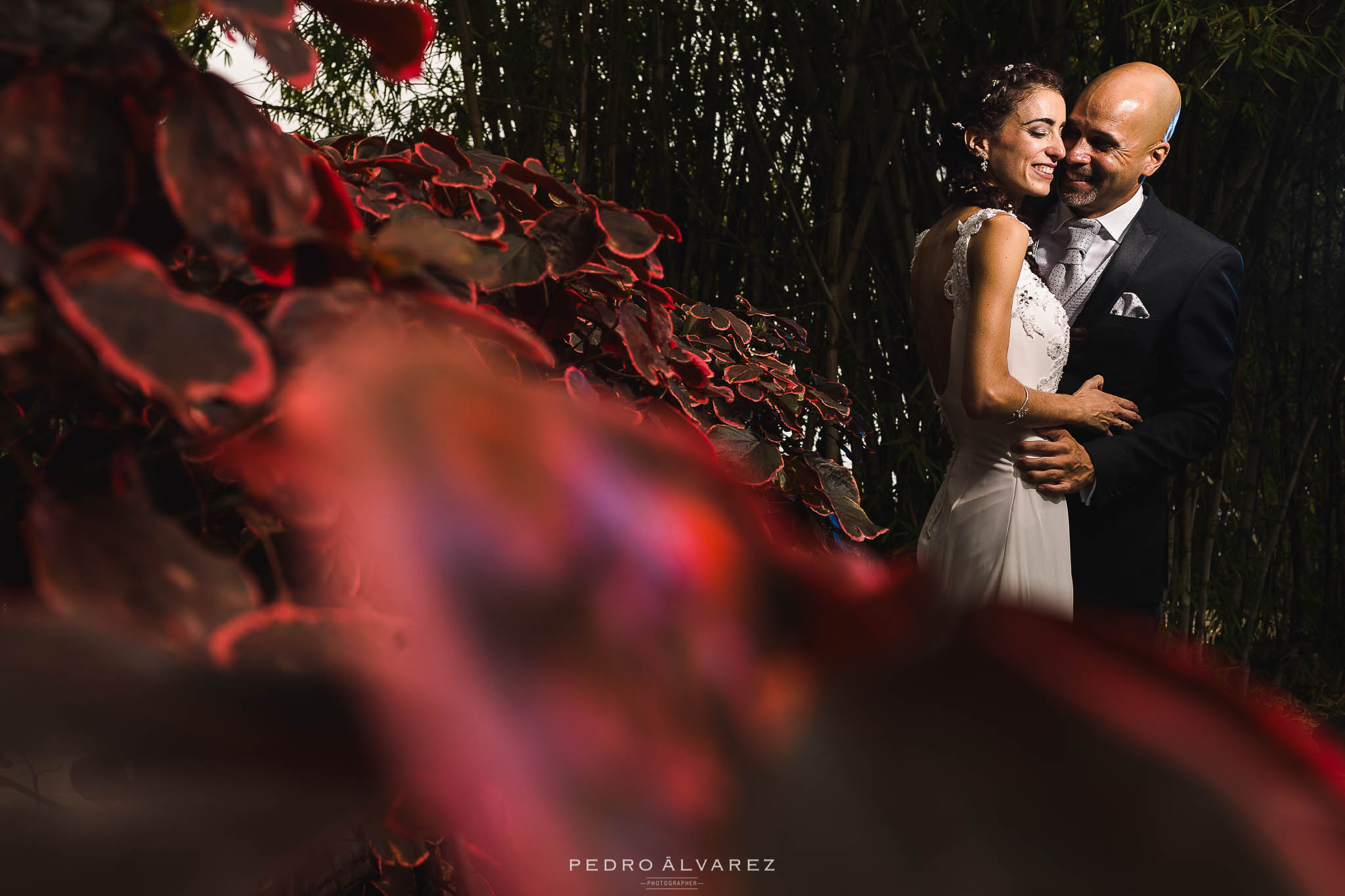 Fotógrafos de boda en Canarias