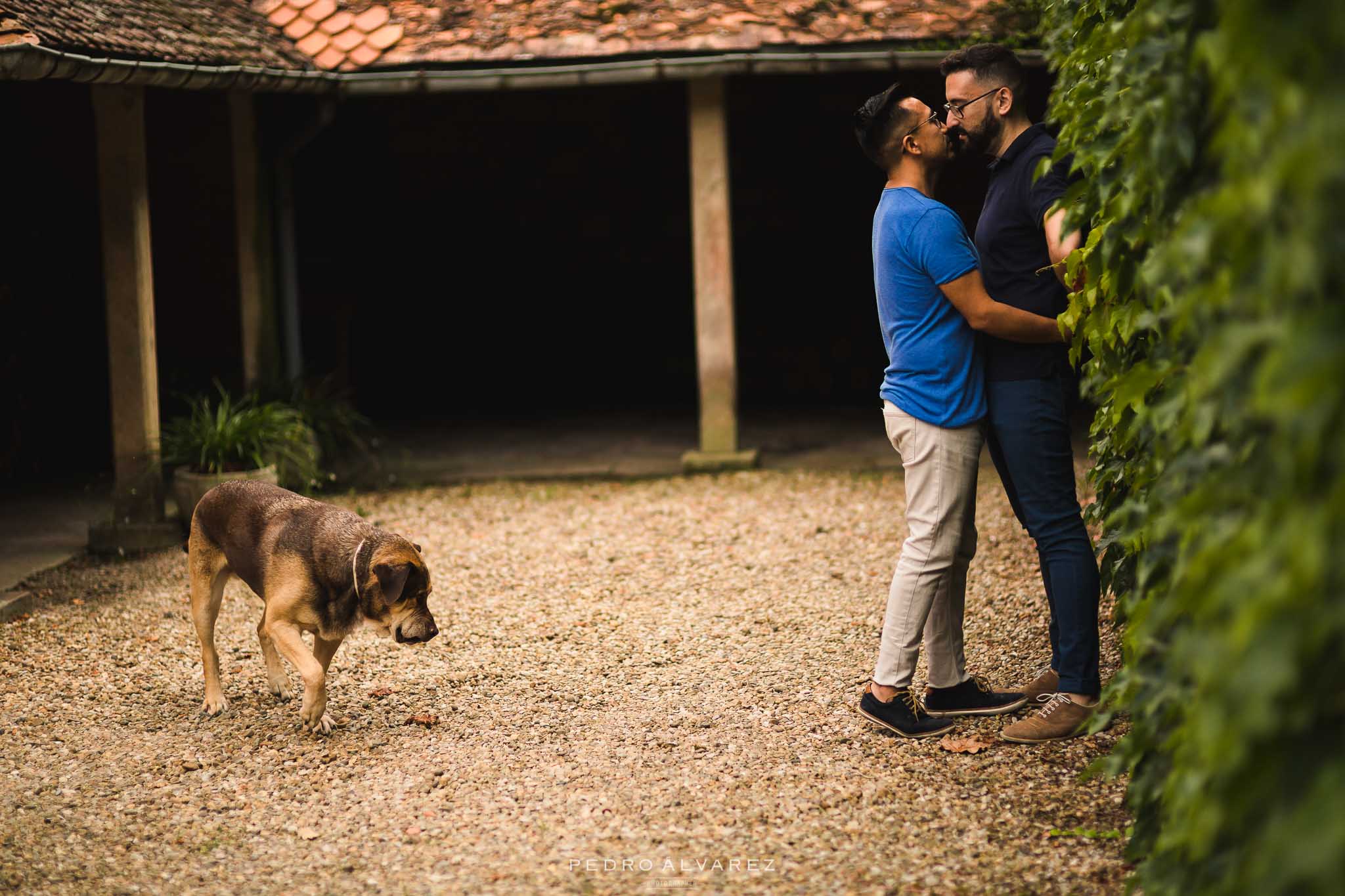 Fotos de pre boda Santander Palacio de los Hornillos S&M