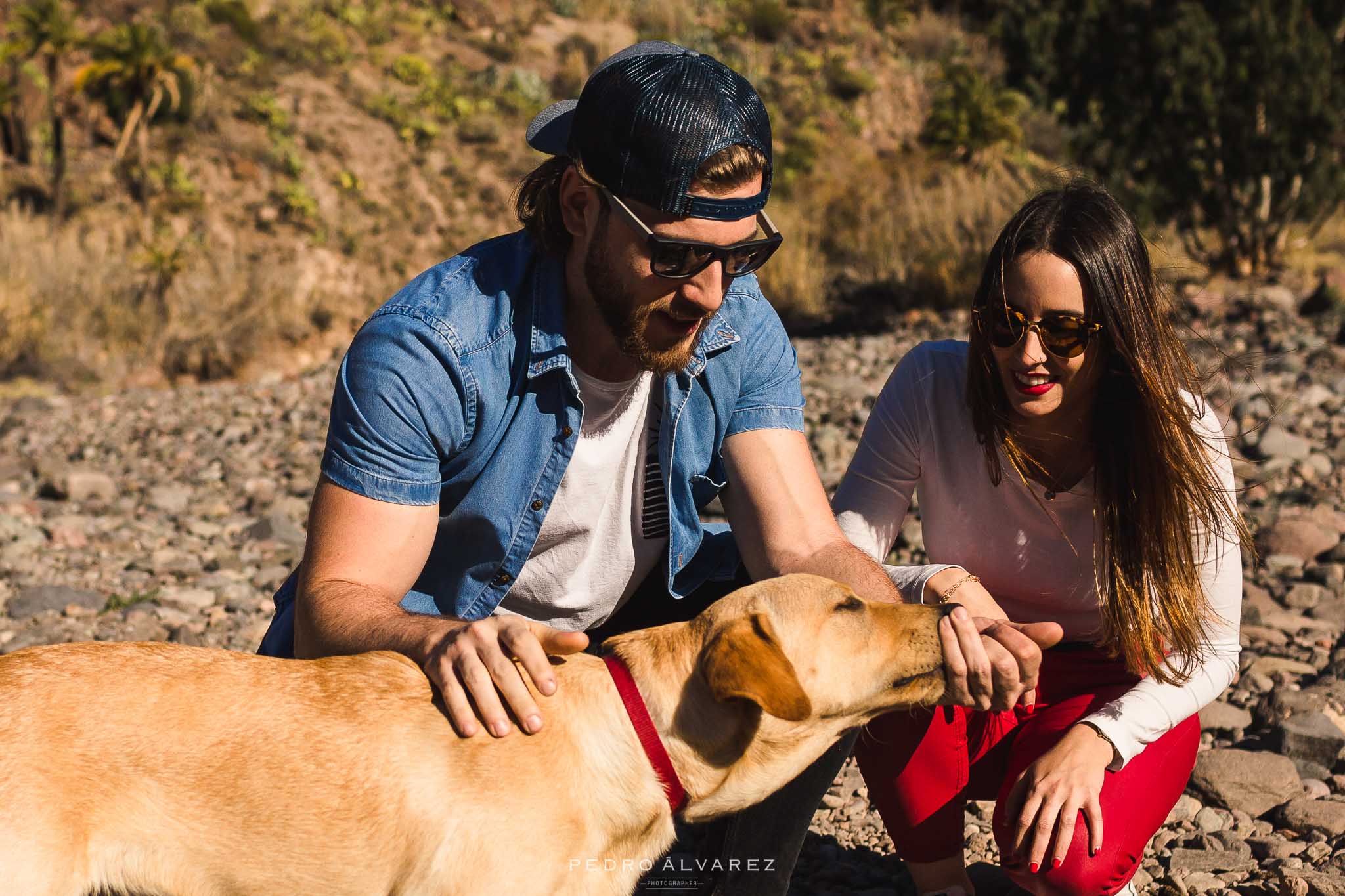Fotos de mascotas en Las Palmas de Gran Canaria 