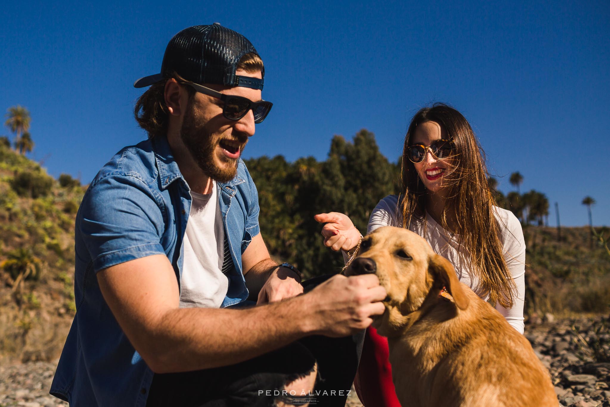 Fotos de mascotas en Las Palmas de Gran Canaria 