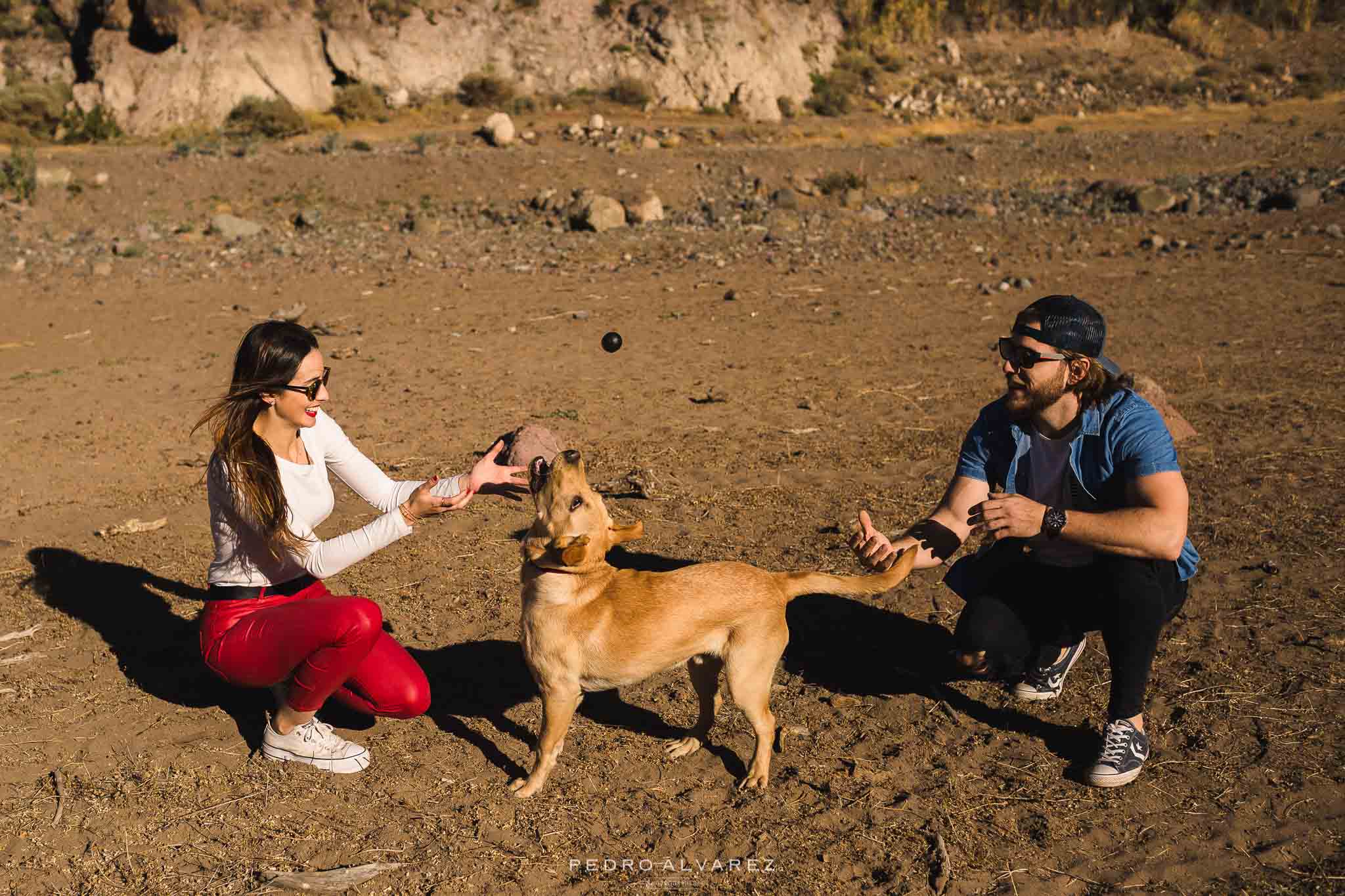 Fotos de mascotas en Las Palmas de Gran Canaria 