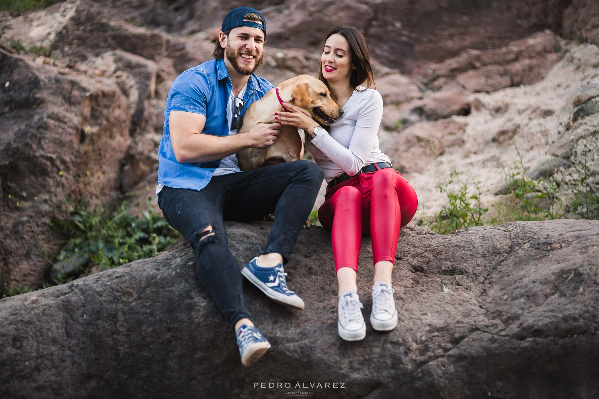 Fotos de mascotas en Las Palmas de Gran Canaria Canarias Tenerife Lanzarote