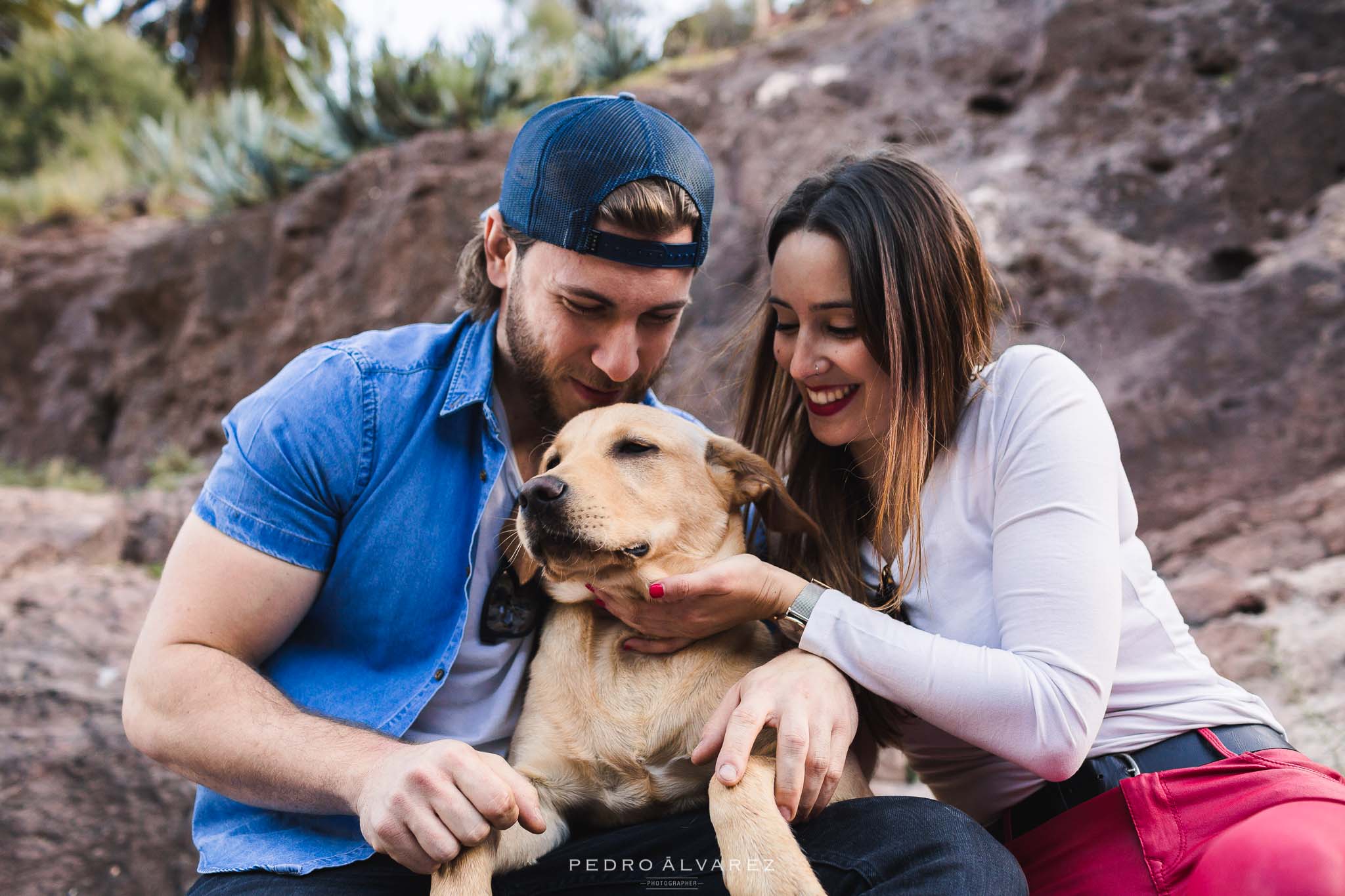 Fotos de mascotas en Las Palmas de Gran Canaria Canarias Tenerife Lanzarote