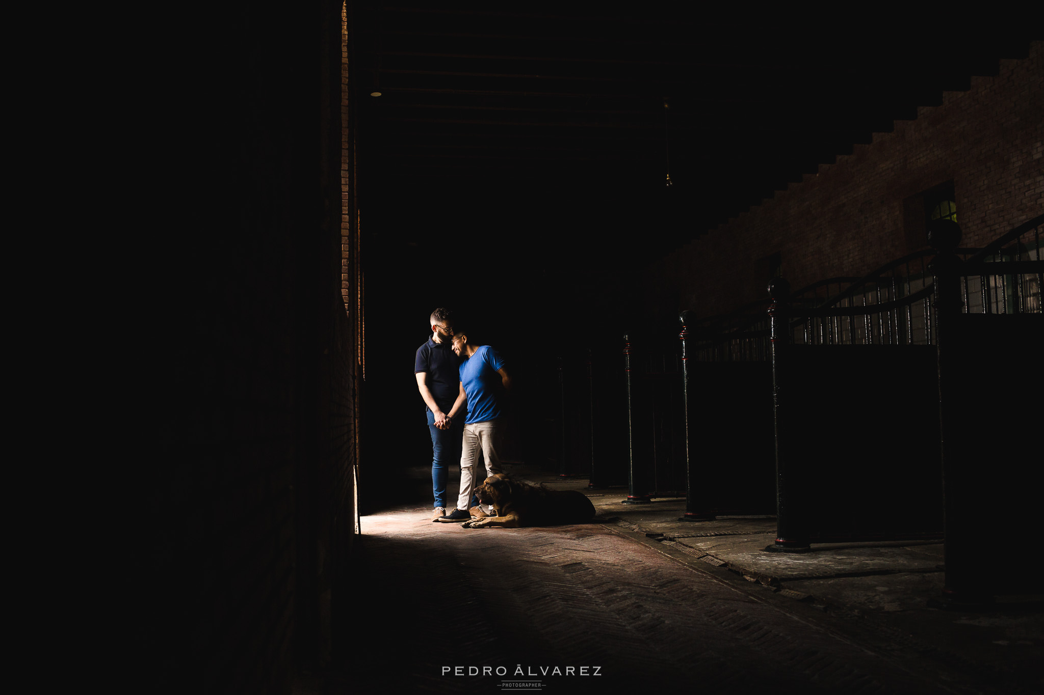 Fotos de pre boda Santander Palacio de los Hornillos S&M Fotos de pre boda Santander Palacio de los Hornillos S&M