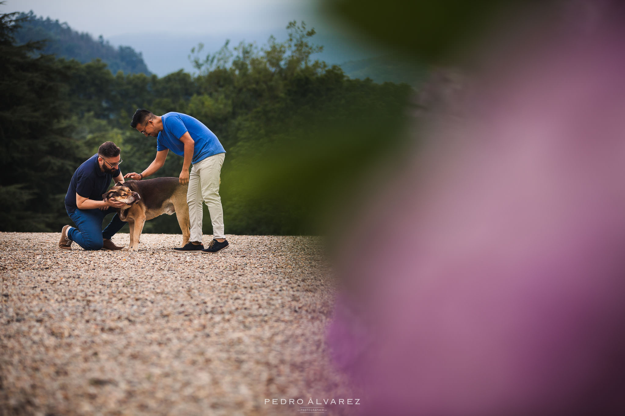 Palacio de los Hornillos en Las Fraguas Cantabria Palacio de los Hornillos en Las Fraguas Cantabria
