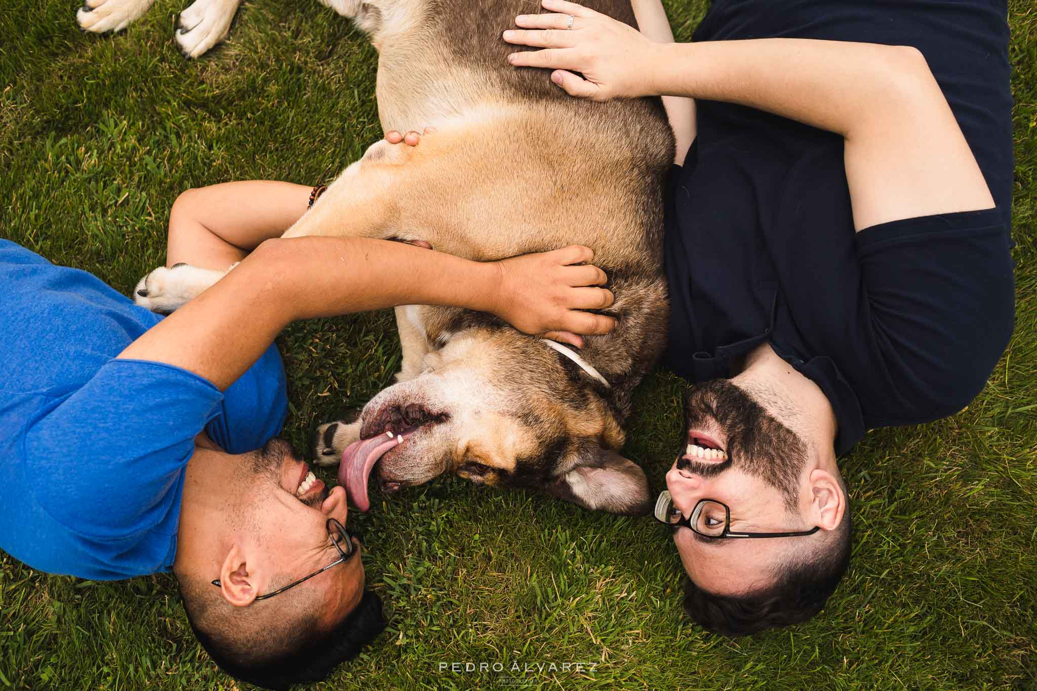 Fotógrafos de mascotas Fotógrafos de mascotas