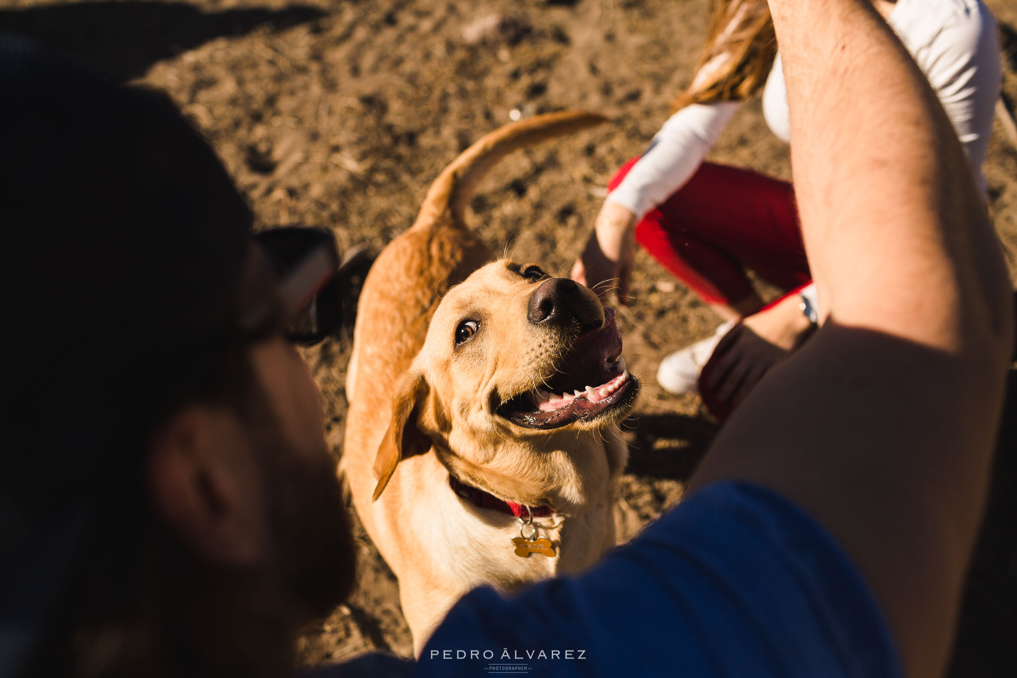 Fotógrafos de mascotas en Gran Canaria Canarias Tenerife Lanzarote