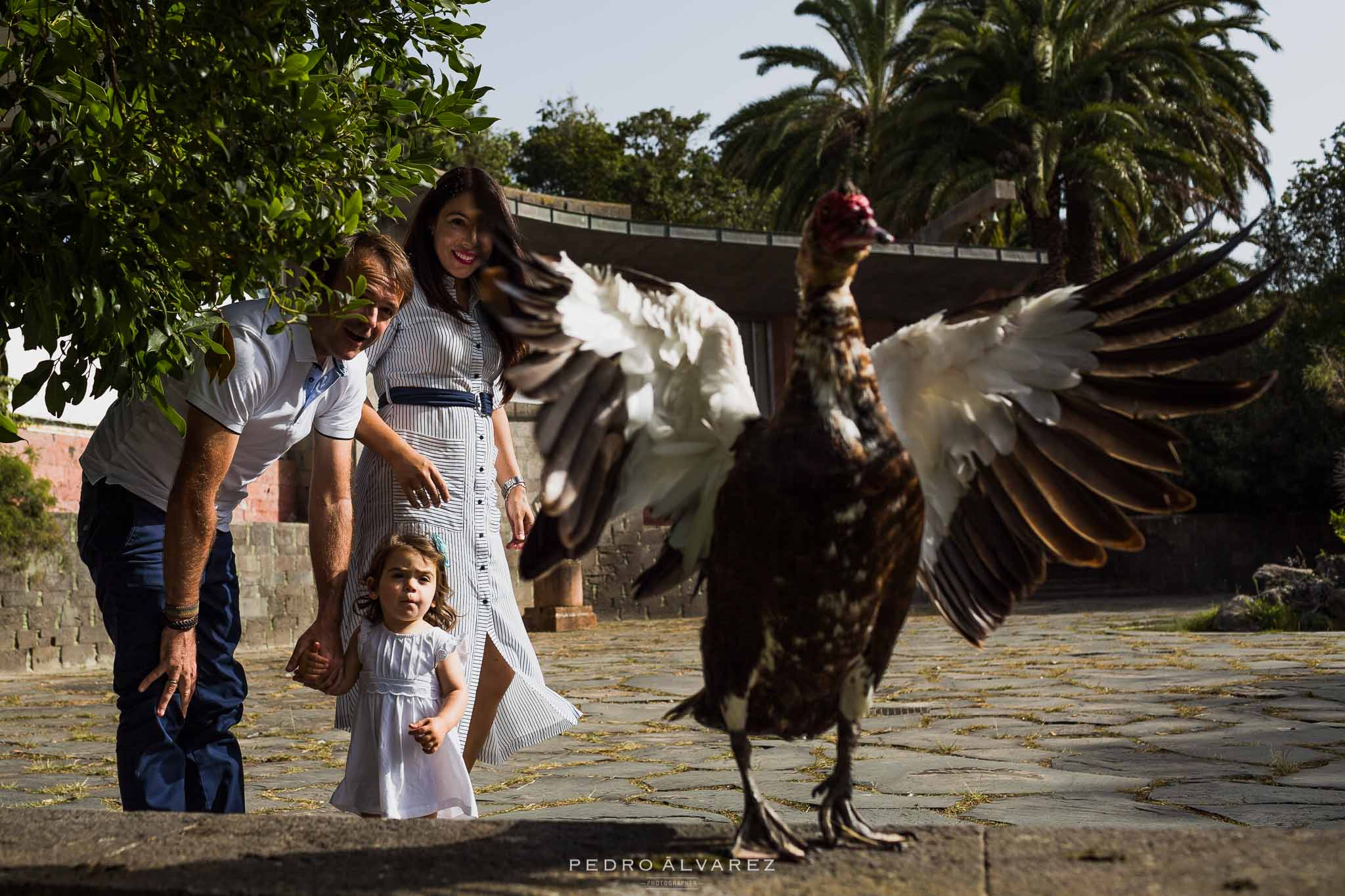 Sesión de familia en Las Palmas de Gran Canaria C&J