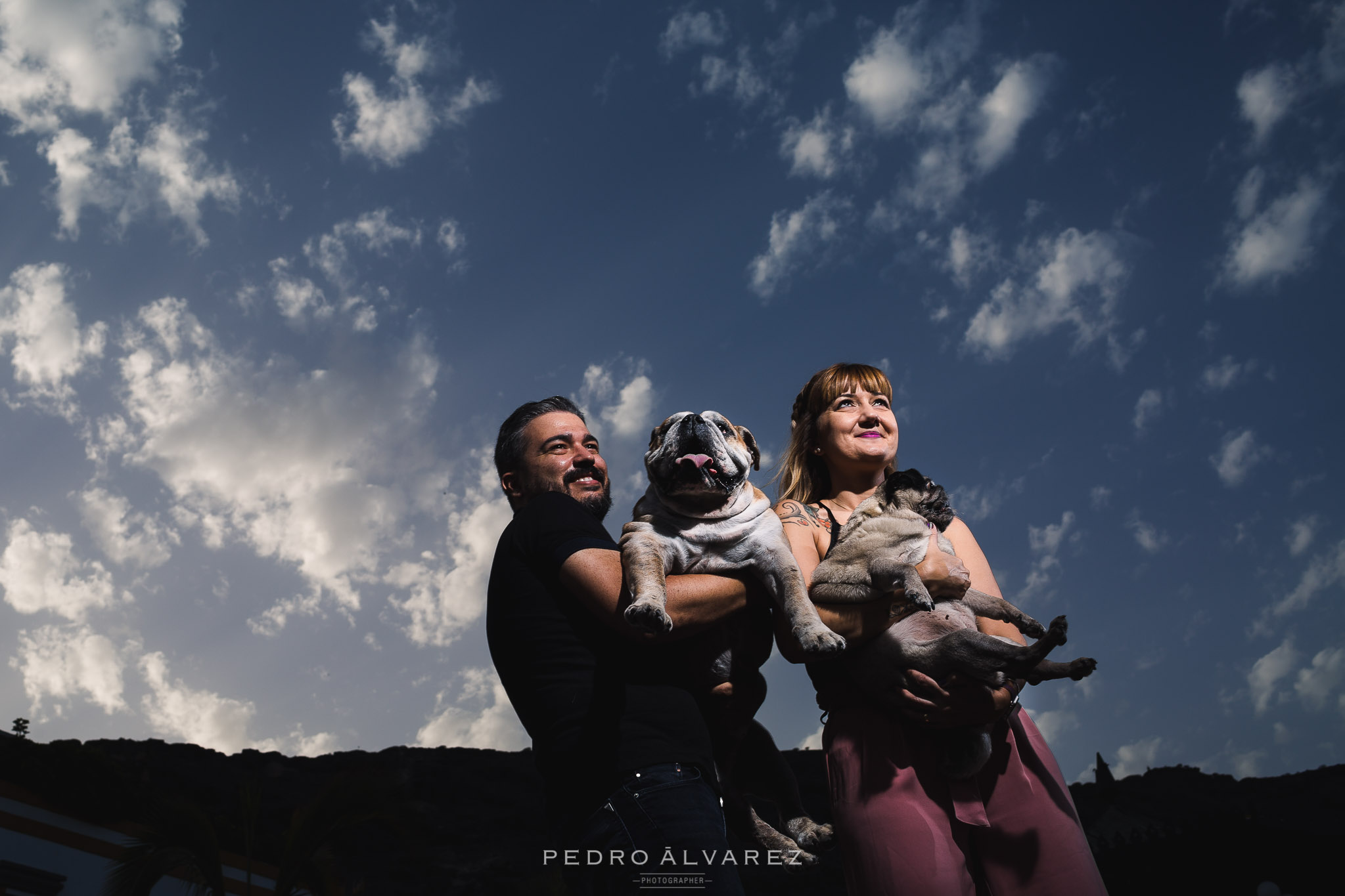 Fotógrafos de mascotas en Canarias Las Palmas de Gran Canaria 