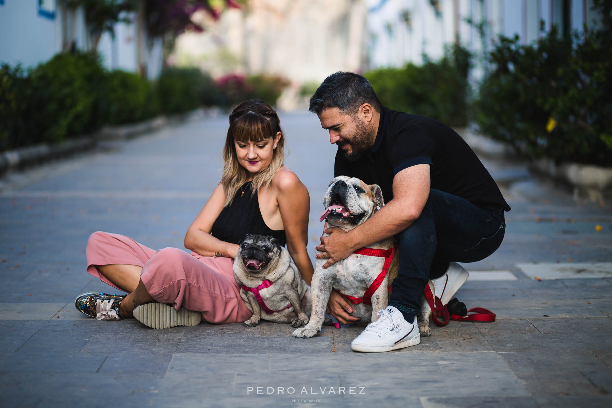 Fotógrafos de mascotas en Canarias Las Palmas de Gran Canaria 