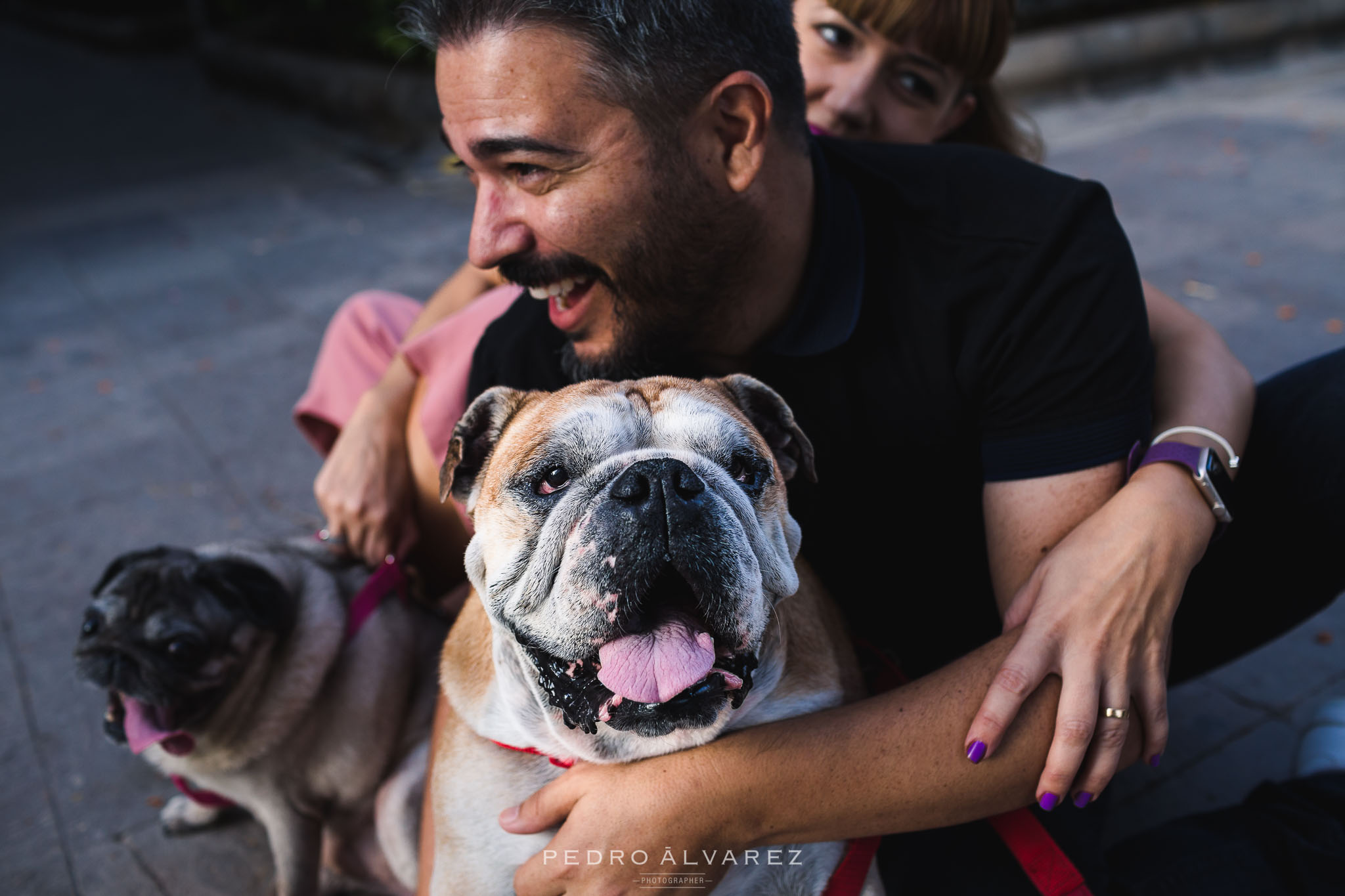 Fotos de mascotas en Las Palmas de Gran Canaria 