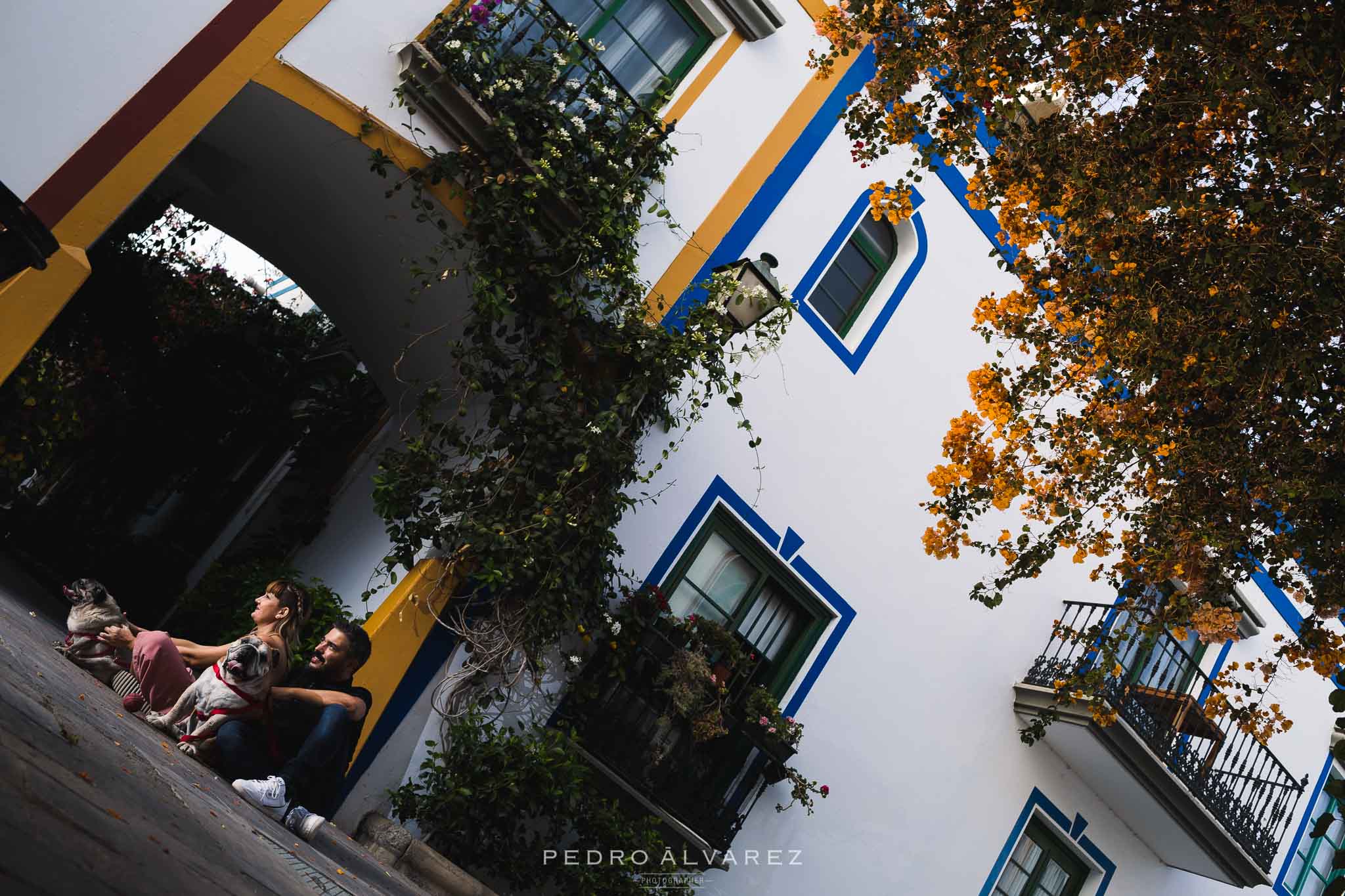 Fotos de mascotas en Las Palmas de Gran Canaria 