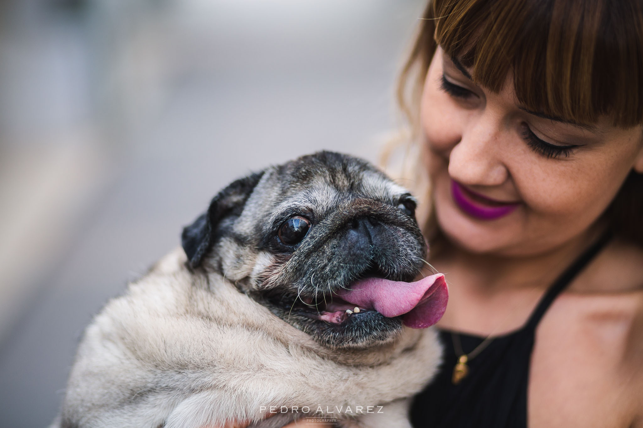 Fotos de mascotas en Las Palmas de Gran Canaria 