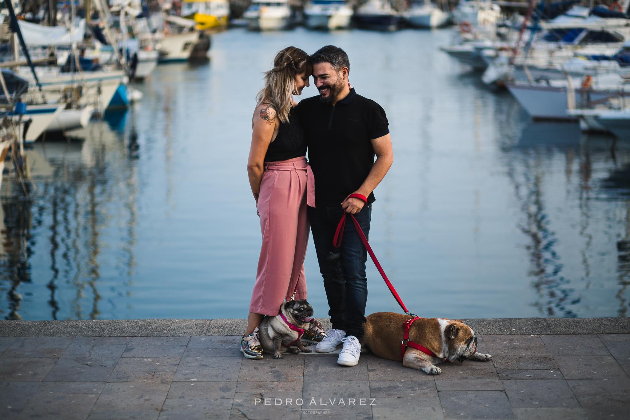 Fotos de mascotas en Las Palmas de Gran Canaria 