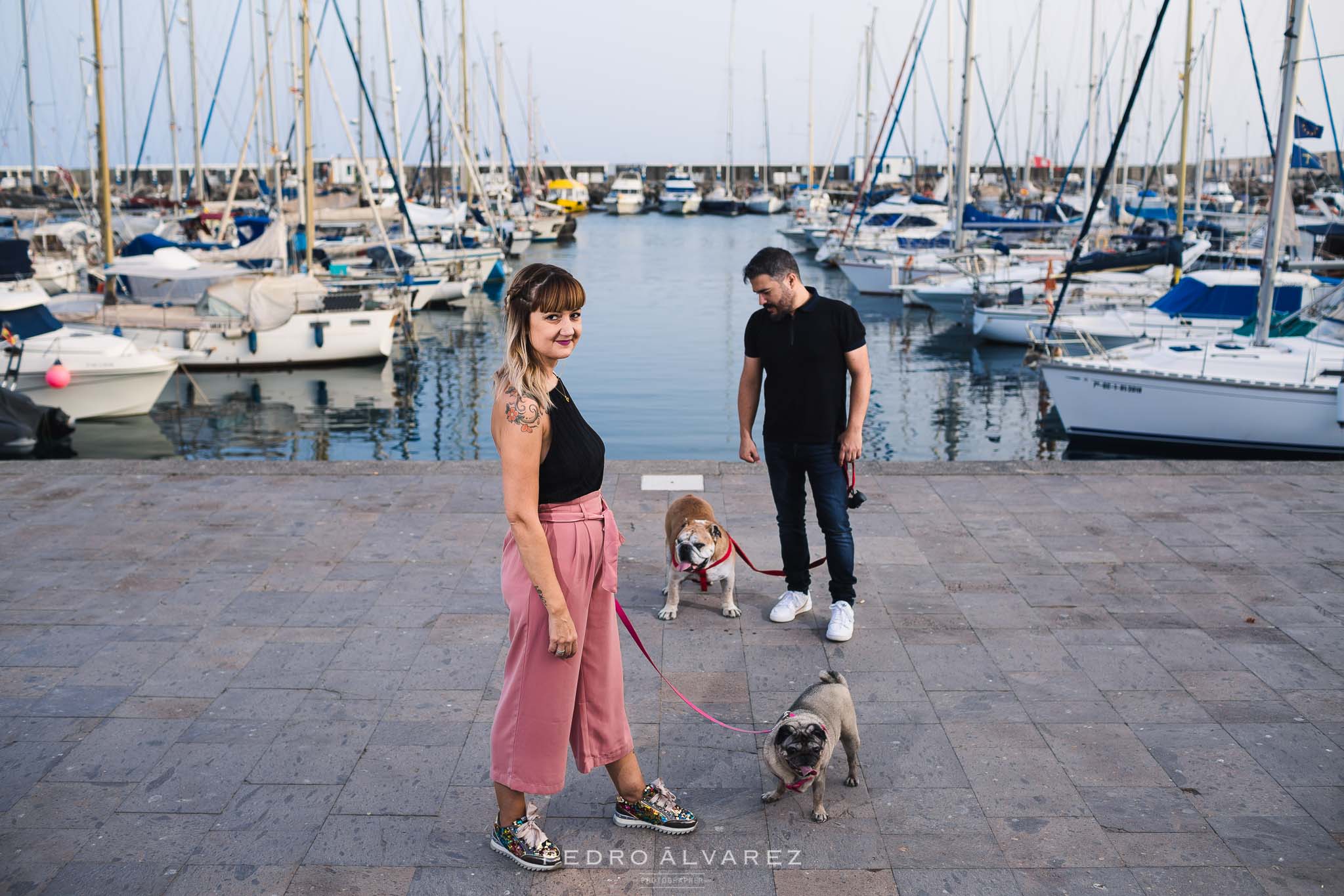 Fotos de mascotas en Las Palmas de Gran Canaria 