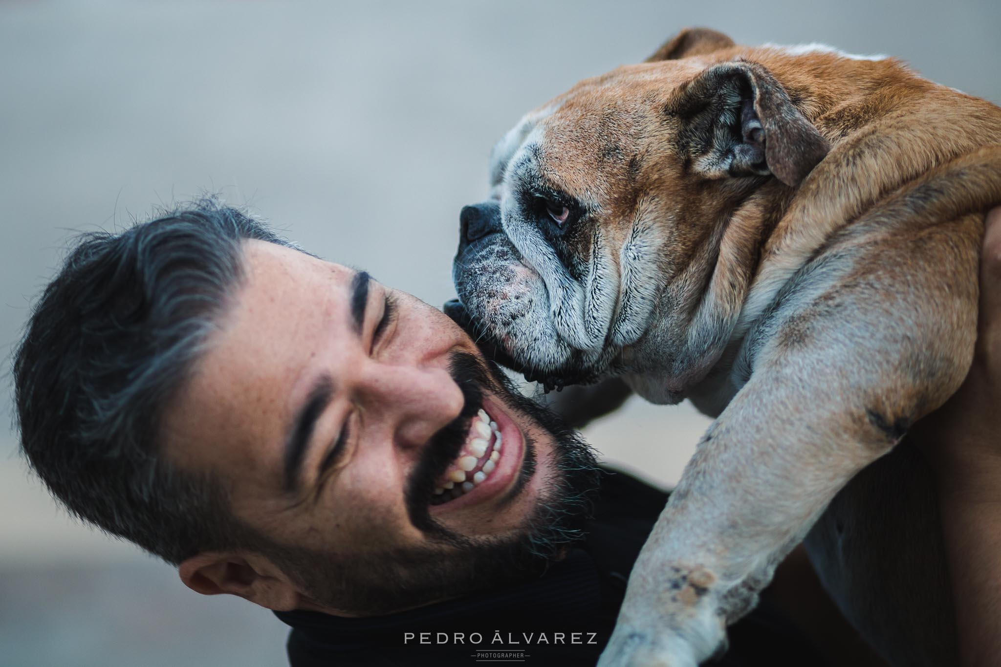 Fotógrafos de mascotas en Gran Canaria 