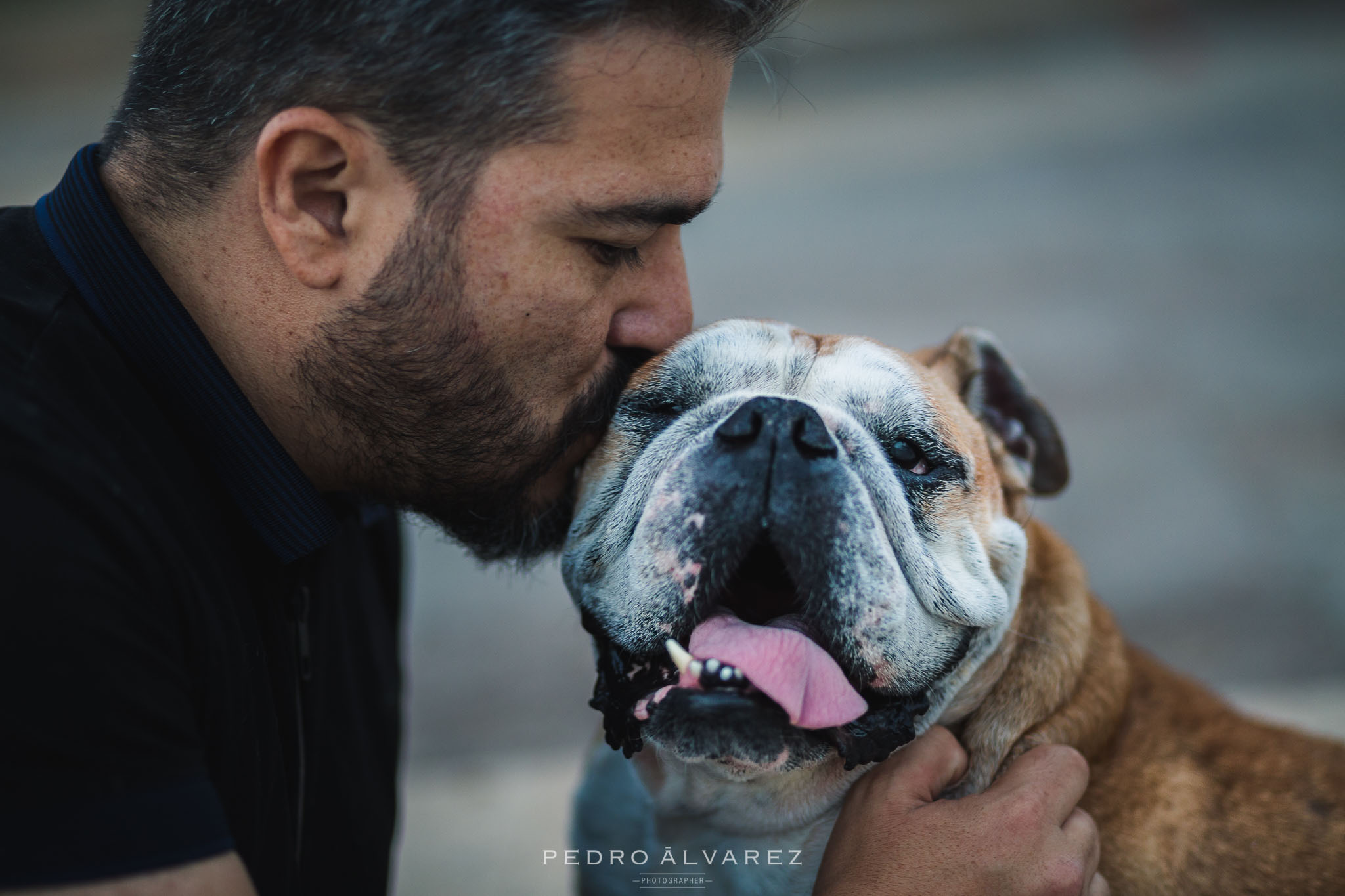 Fotógrafos de mascotas en Gran Canaria 