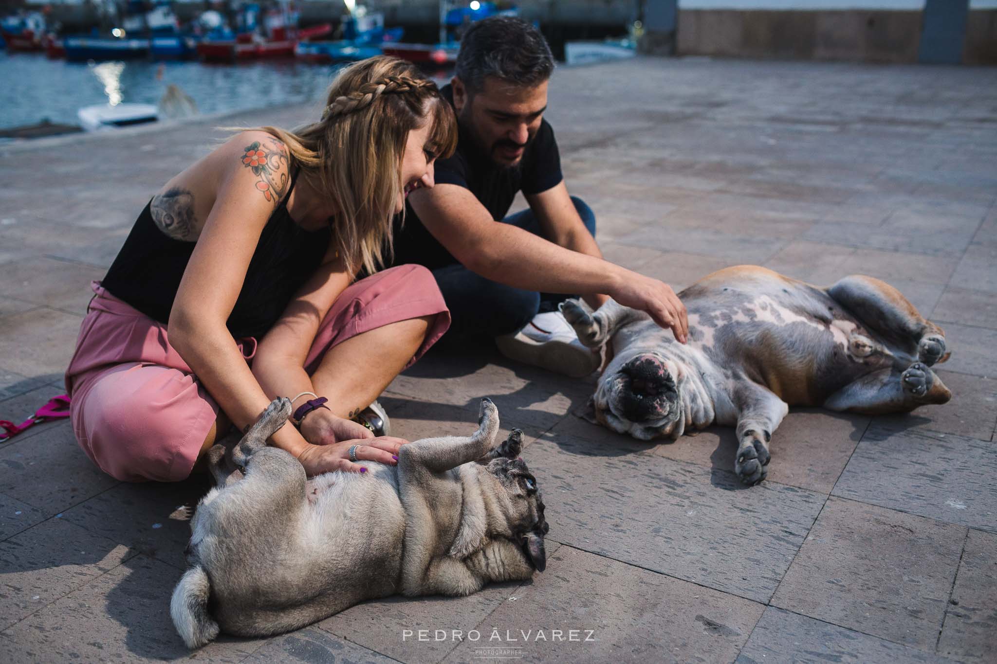 Fotógrafos de mascotas en Gran Canaria 