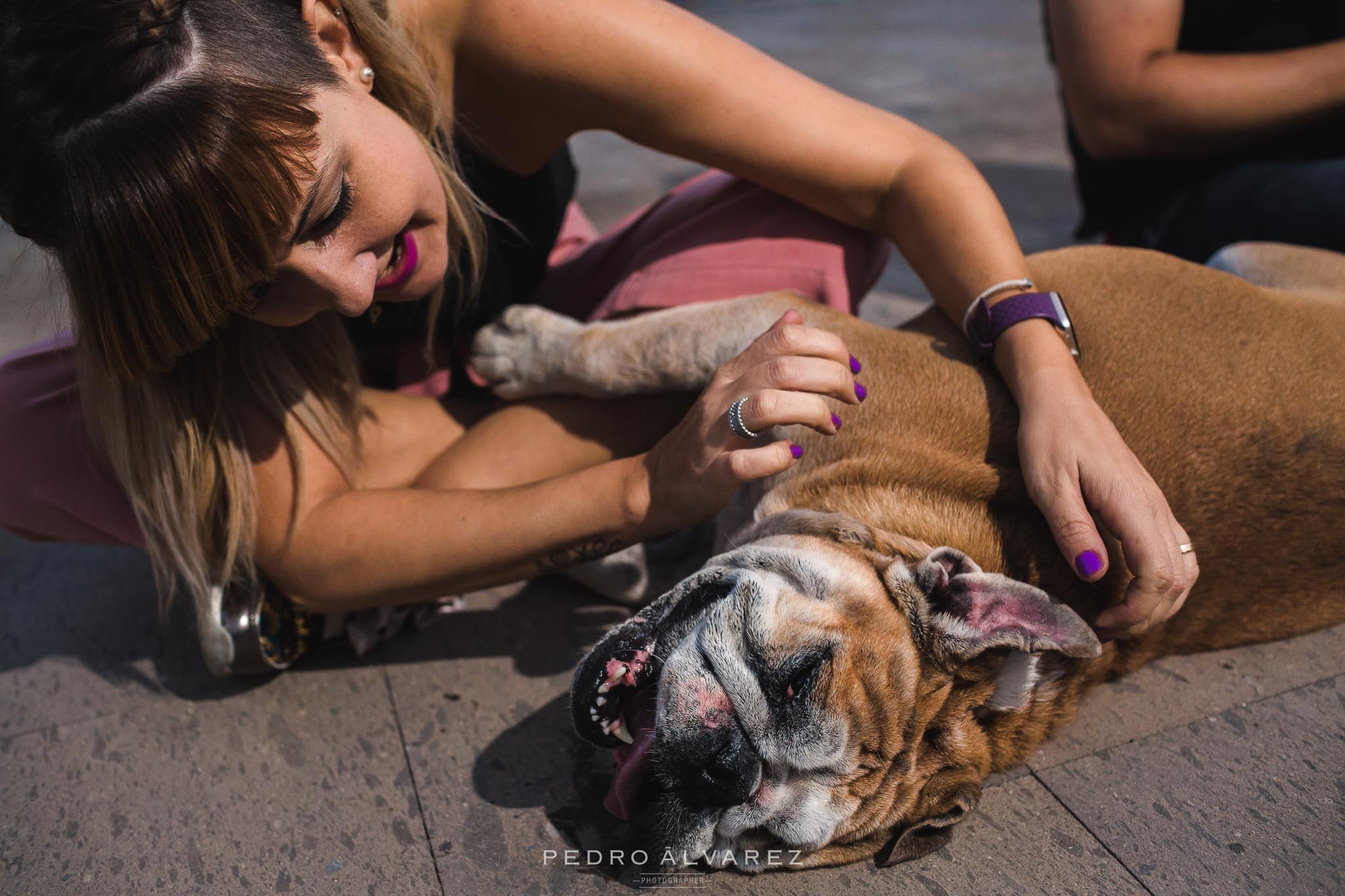 Fotógrafos de mascotas en Gran Canaria 