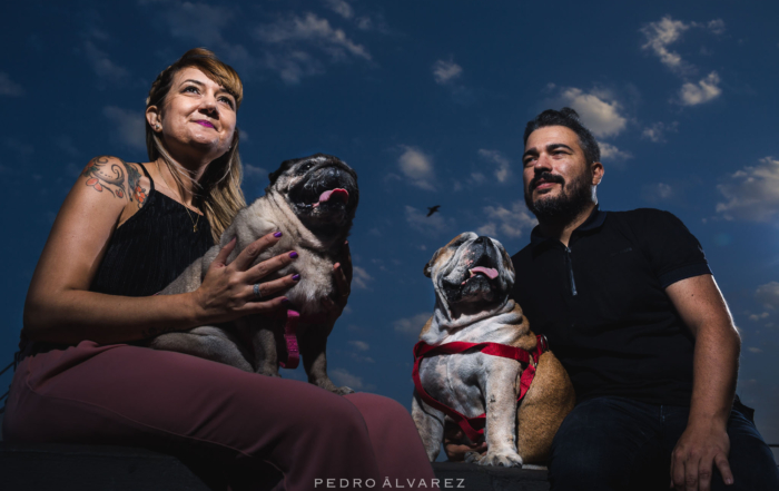 Fotógrafos de mascotas en Canarias Las Palmas de Gran Canaria