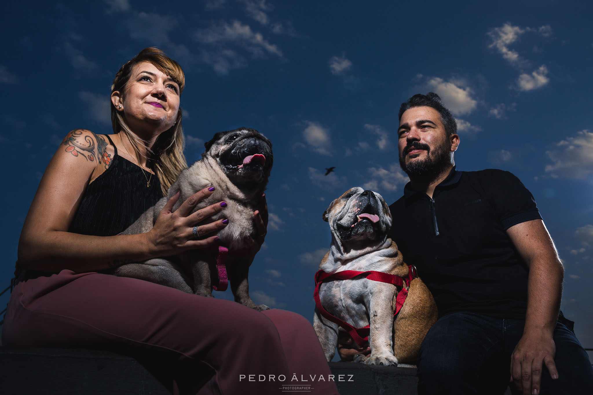 Fotógrafos de mascotas en Canarias Las Palmas de Gran Canaria