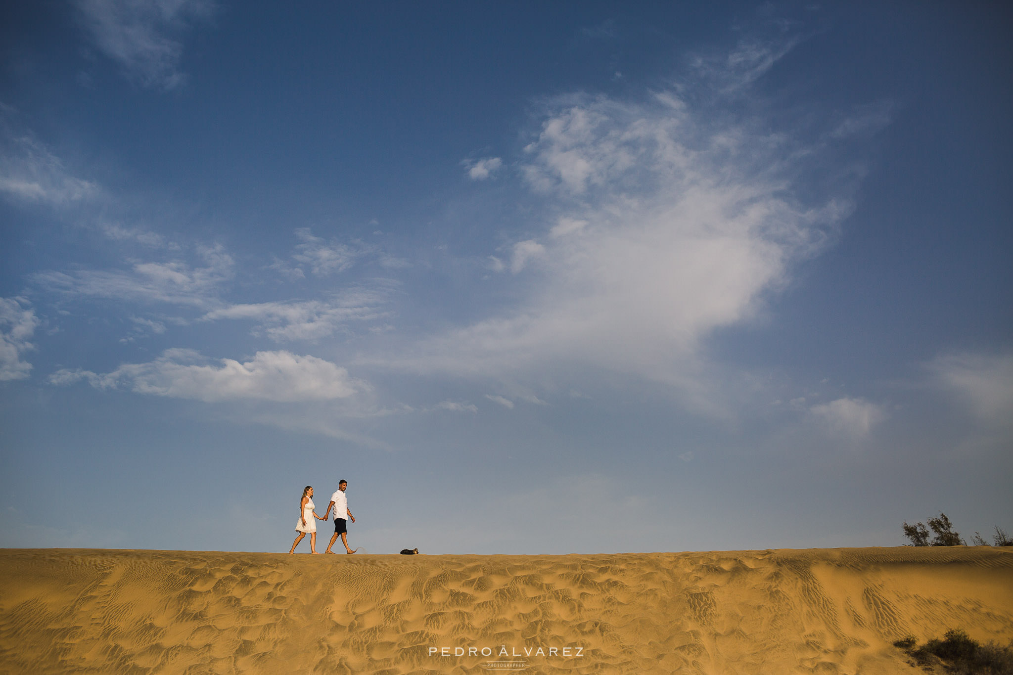 Fotógrafos de mascotas y pre boda en Gran Canaria Canarias Tenerife Lanzarote