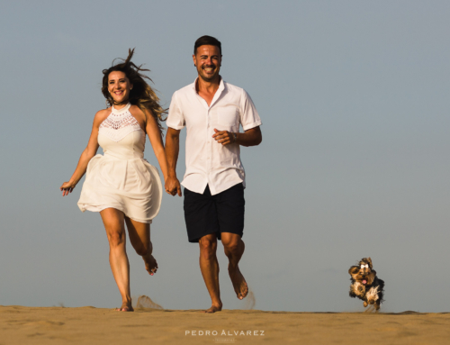 Sesión de fotos de mascotas y pre boda en Gran Canaria T & D